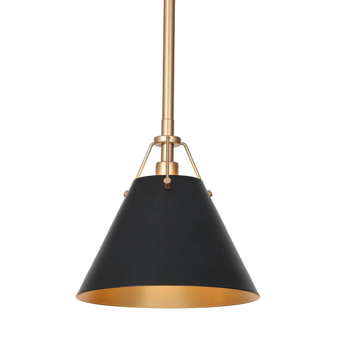 Dashira 1-Light Black Pendant Light