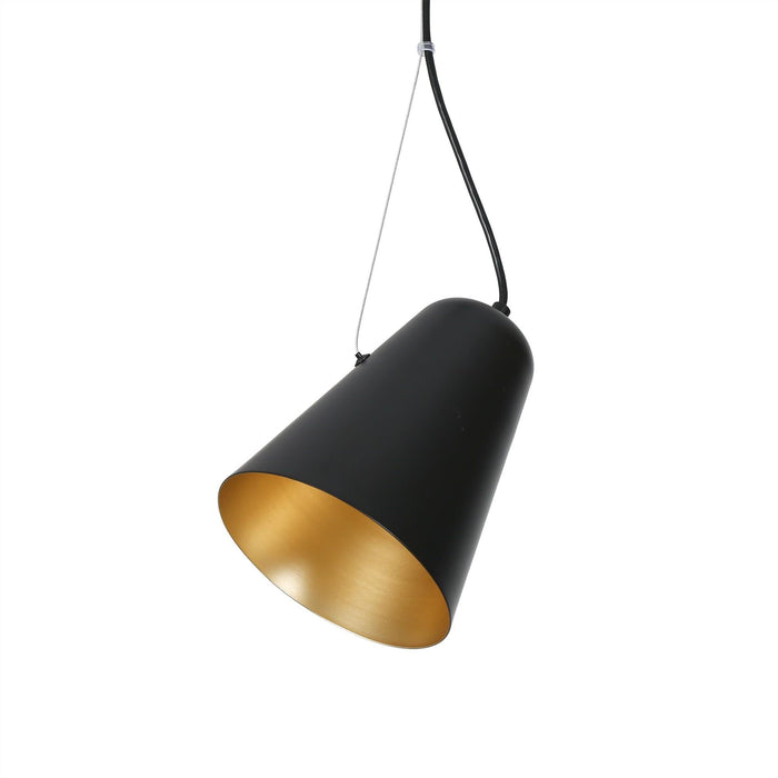 Epodt 1-Light Black Pendant Light