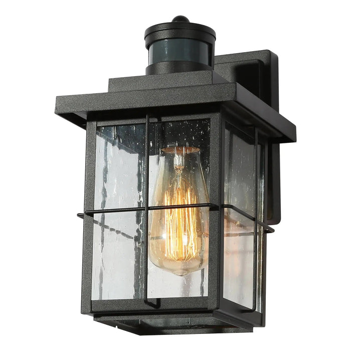 Biosera 1-Light Black Outdoor Glass Wall Lights