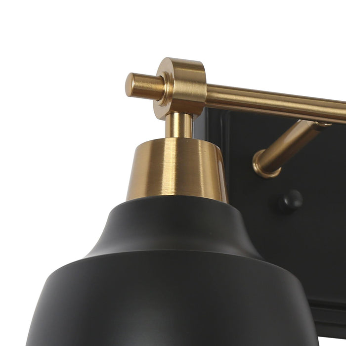 Hyellin 2-Light Black and Brass Bathroom Vanity Light