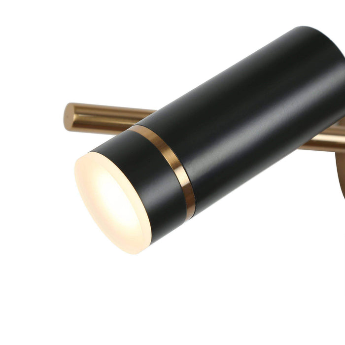 Floeice 2-Light LED Black and Brass Bathroom Vanity Light