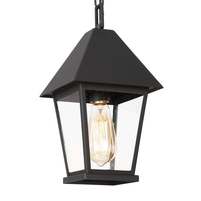 Qirvona 1-Light Black Seeded Glass Outdoor Pendant Light