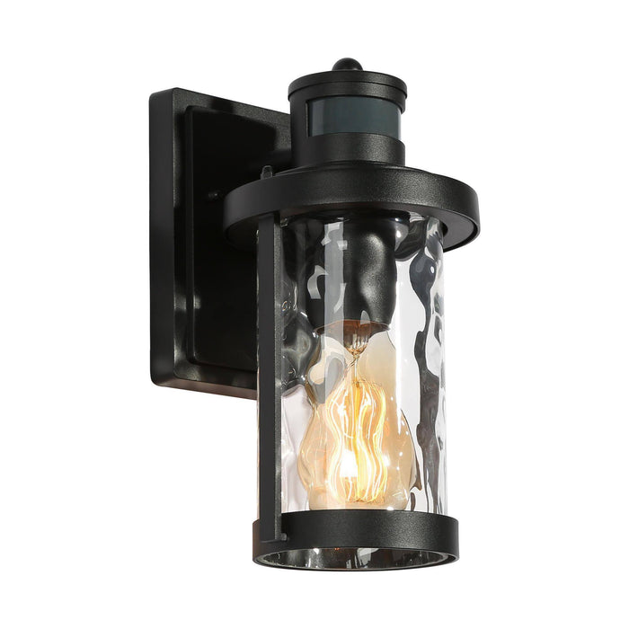 Zorlin 1-Light Transitional Black Outdoor Wall Lights