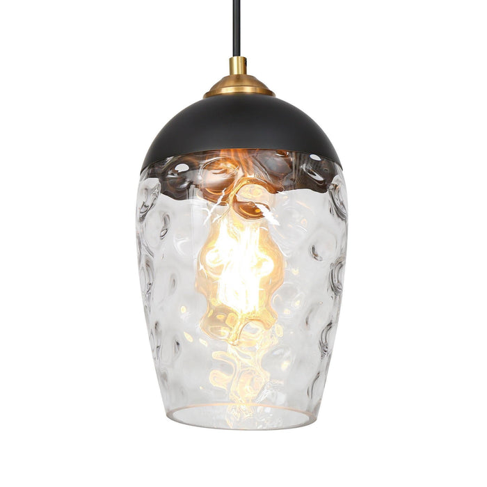 Fhbauos 1-Light Black and Brass Pendant Light