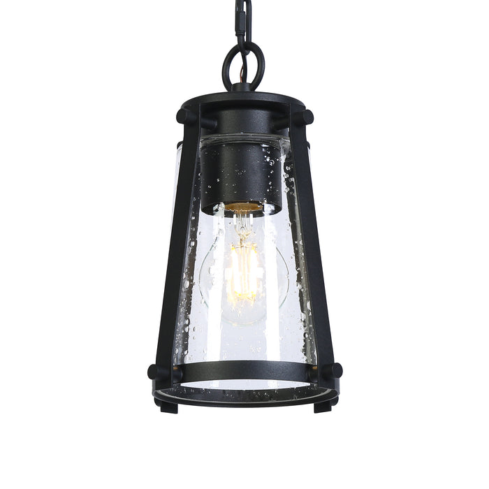 Veyna 1-Light Black Outdoor Pendant Light