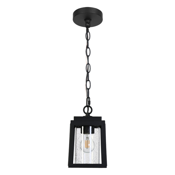 Carlio 1-Light Black Outdoor Pendant Light