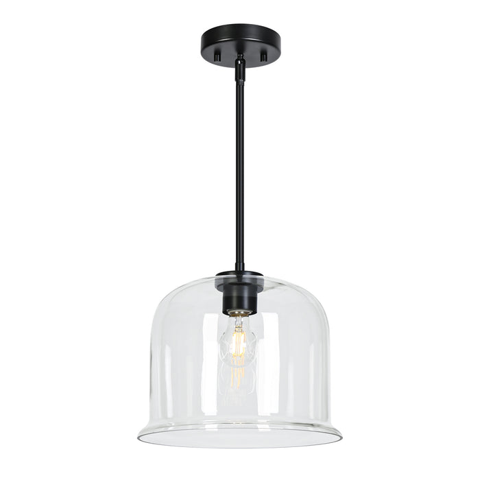 Faylora 1-Light Black Pendant Light