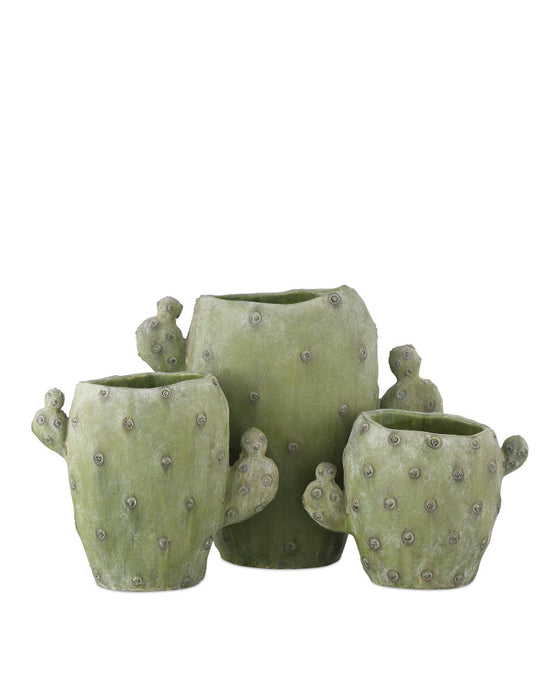 Cactus Vase Set of 3