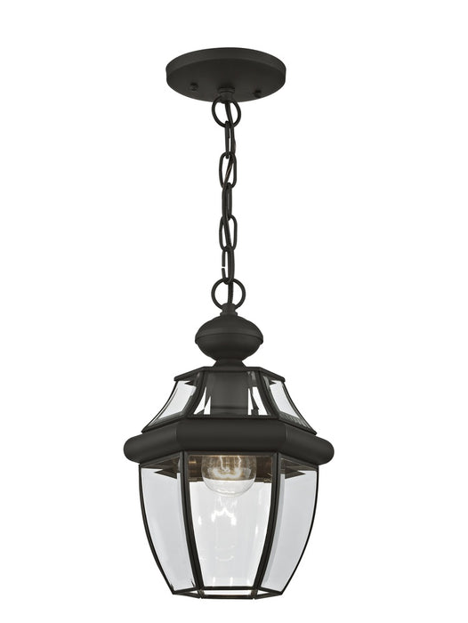 1 Light Black Outdoor Chain Lantern