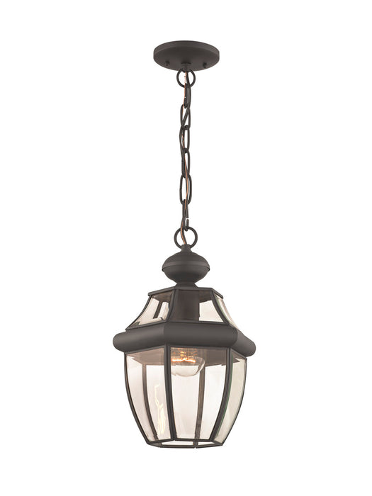 1 Light Bronze Outdoor Chain Lantern