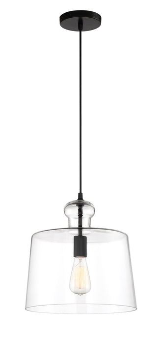 Clarity - 1 Light Pendant