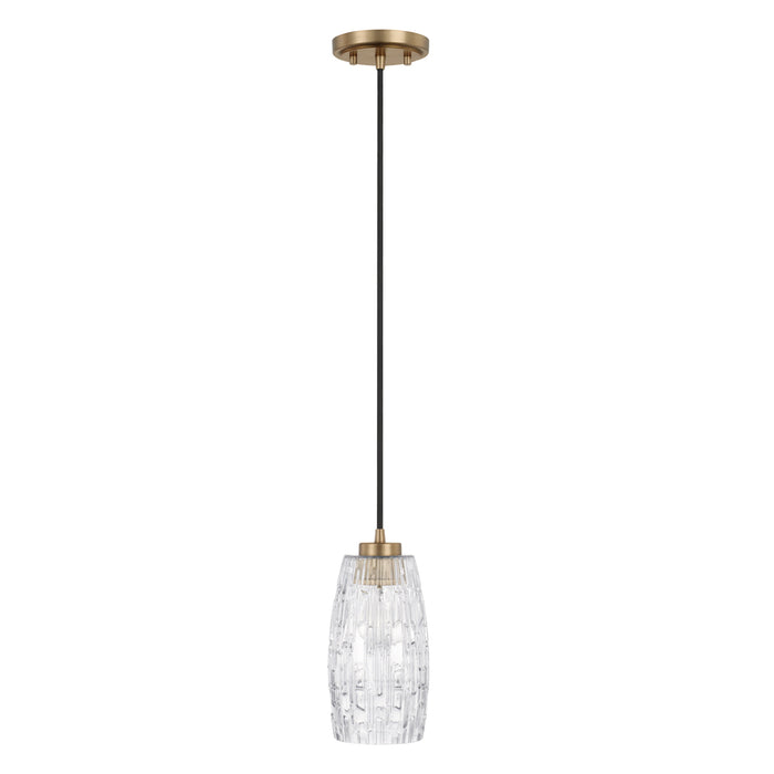 1 Light Pendant