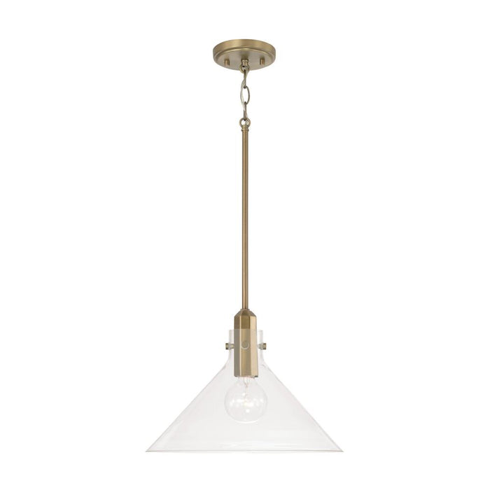 1 Light Pendant
