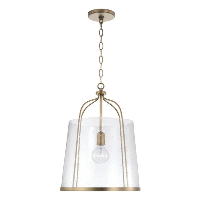 1 Light Pendant