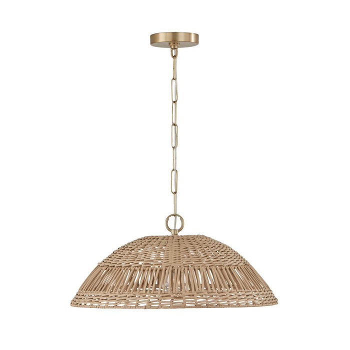 1-Light Pendant