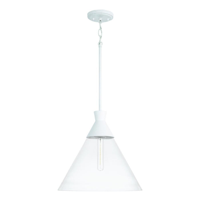 1-Light Pendant