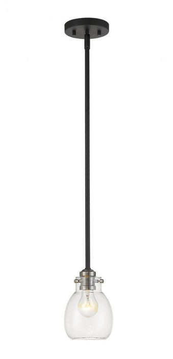 1 Light Pendant