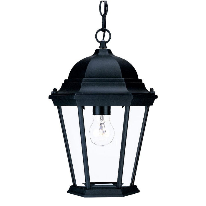 Richmond Collection Hanging Lantern 1-Light Outdoor Matte Black Light Fixture