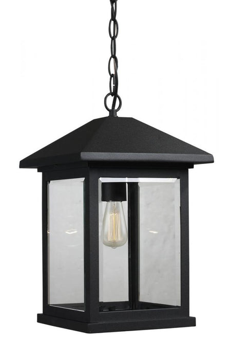 1 Light Outdoor Chain Mount Ceiling Fixture