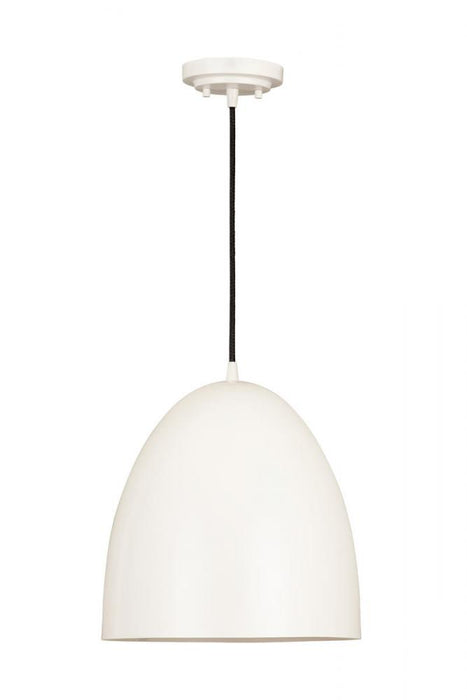 1 Light Pendant