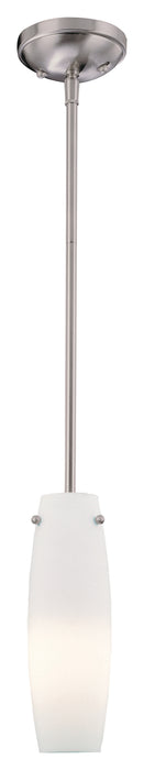 1 Light Mini Pendant