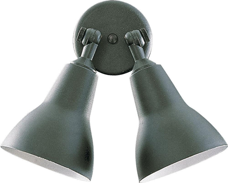 2LT PAR LAMP FLOODLGT-BK