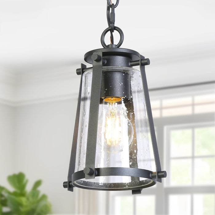 Veyna 1-Light Black Outdoor Pendant Light