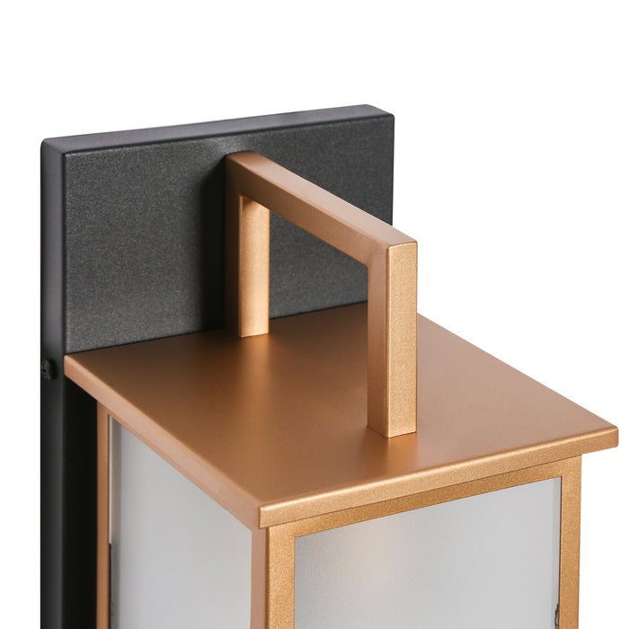 Vaylen 1-Light Black and Gold Outdoor Wall Light