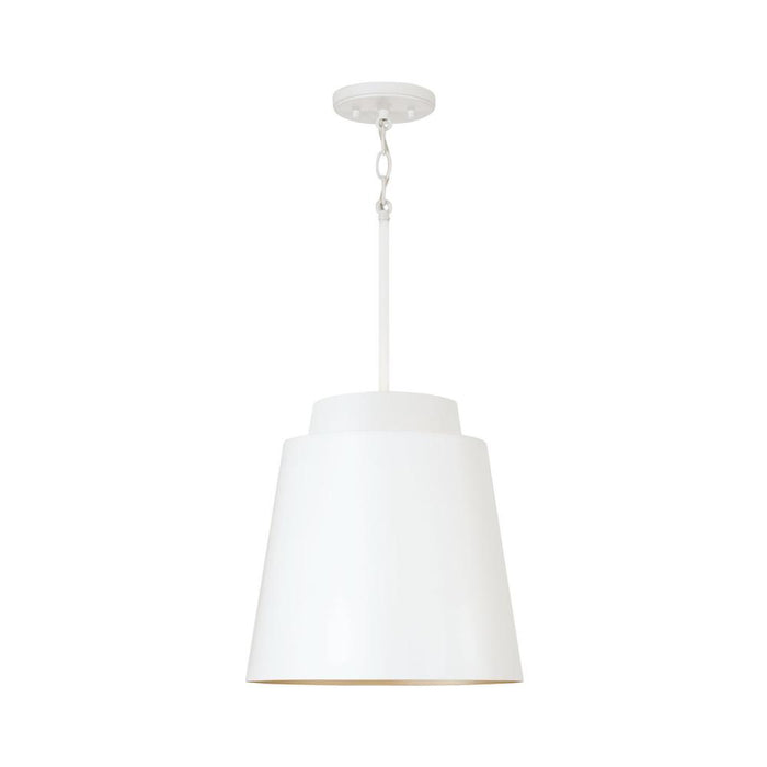 1 Light Pendant