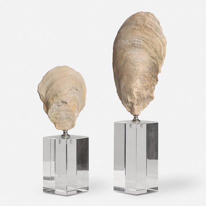 Uttermost Oyster Shell Sculptures Set/2