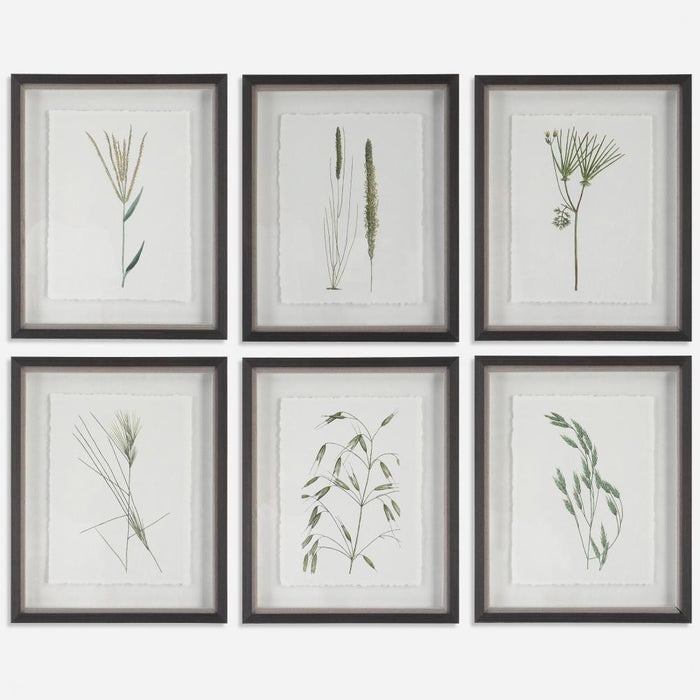 Uttermost Forest Finds Framed Prints Set/6