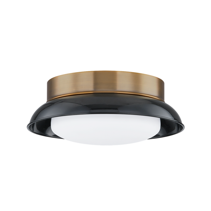ARNIE Flush Mount