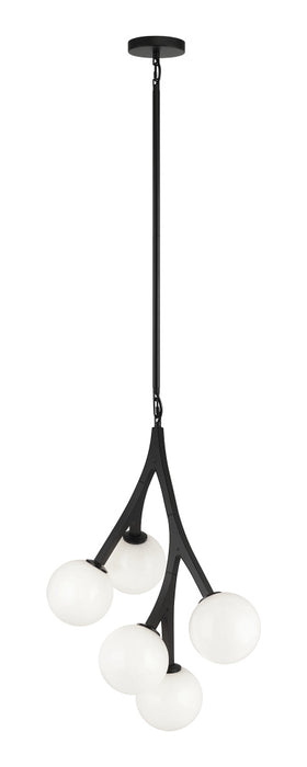 Rami Chandelier