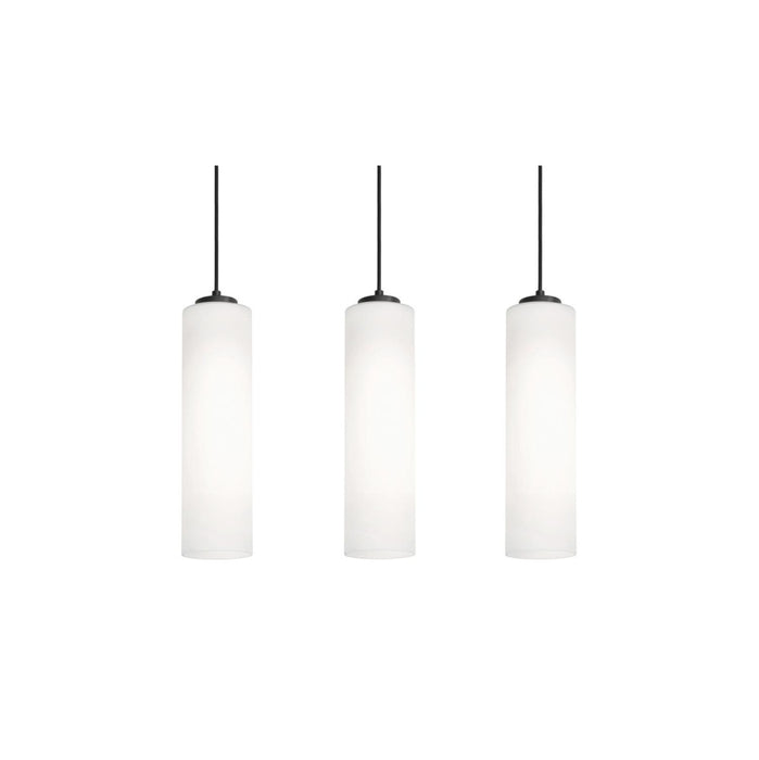 Leo 3 Light Linear Pendant, 120V, 60W, BK
