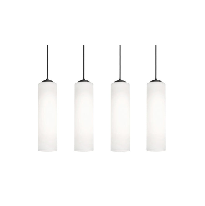 Leo 4 Light Linear Pendant, 120V, 60W, BK