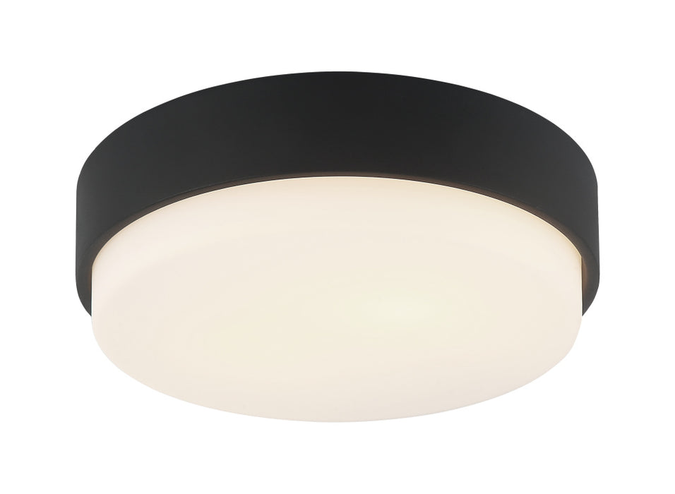 Quintz Ceiling Mount