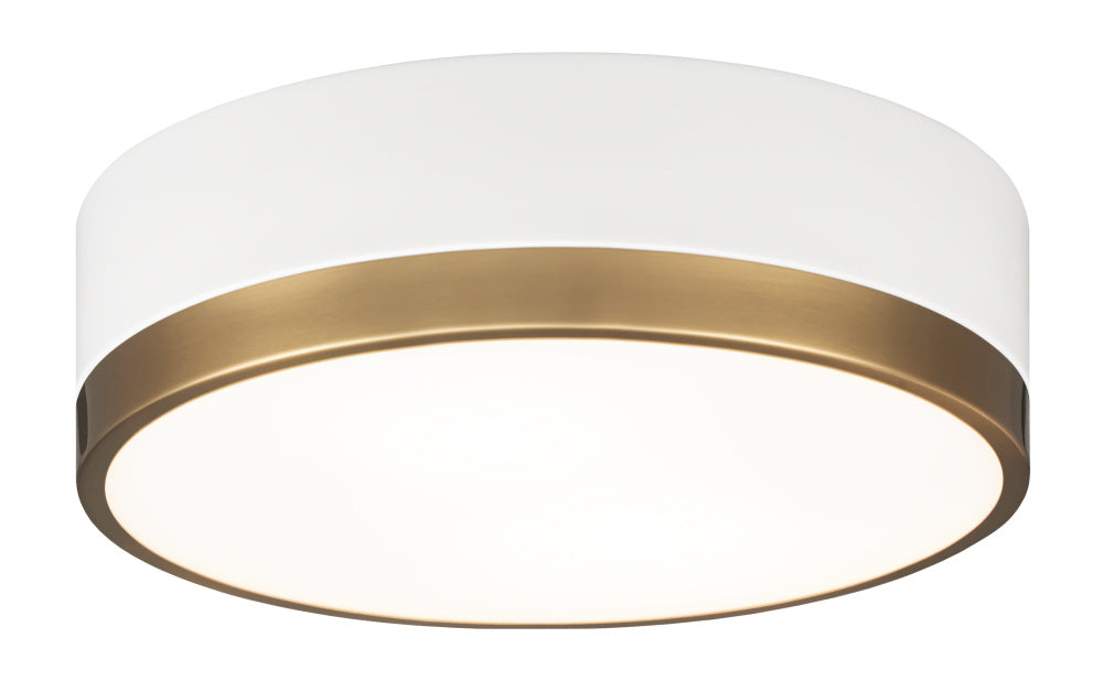 Trydor Ceiling Mount