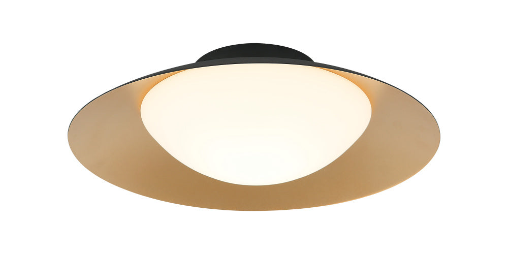 CARAVON Ceiling Mount