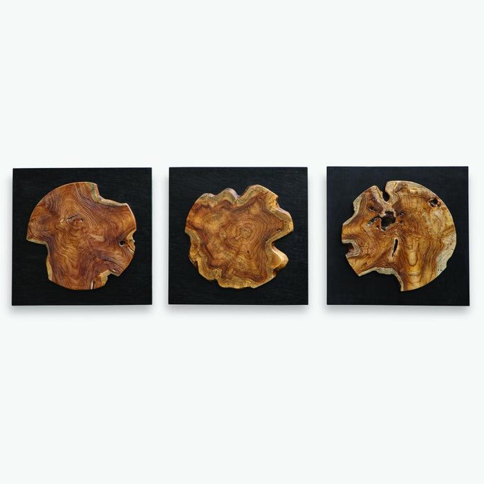 Uttermost Kolini Teak Wood Wall Decor Set/3