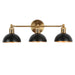 Nephropsidae 3-Light Black and Brass Vanity Light