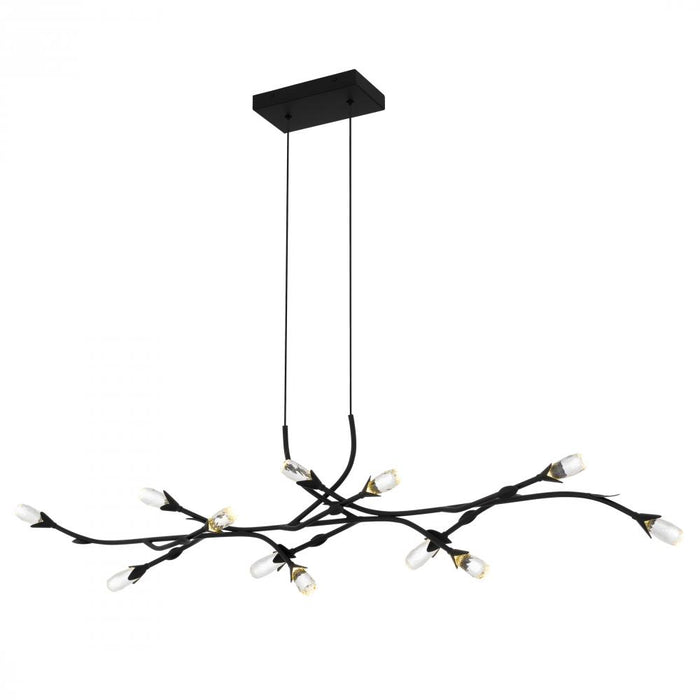 Cora Island Chandelier