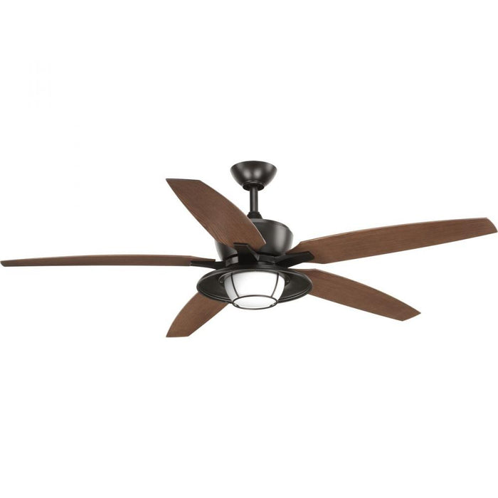 P2564-2030K 60IN 5 BLADE OUTDOOR LED FAN