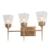 Dendrophylax 3-Light Black Vanity Light