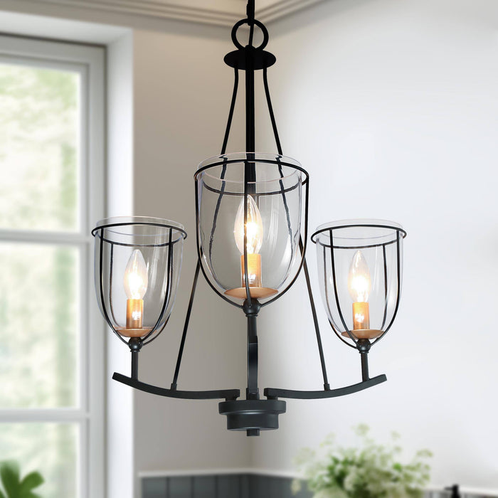 Douglas 3-Light Black And Gold Chandelier