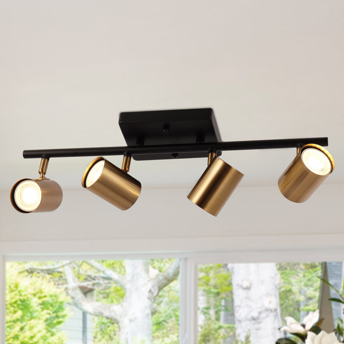 Serrul 4-Light Black and Brass Track Light