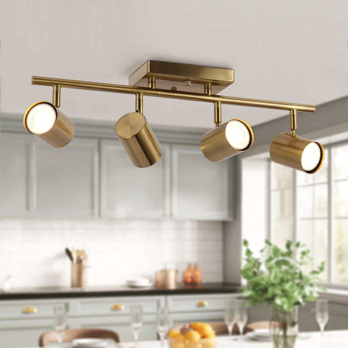 Serrul 4-Light Brass Track Light