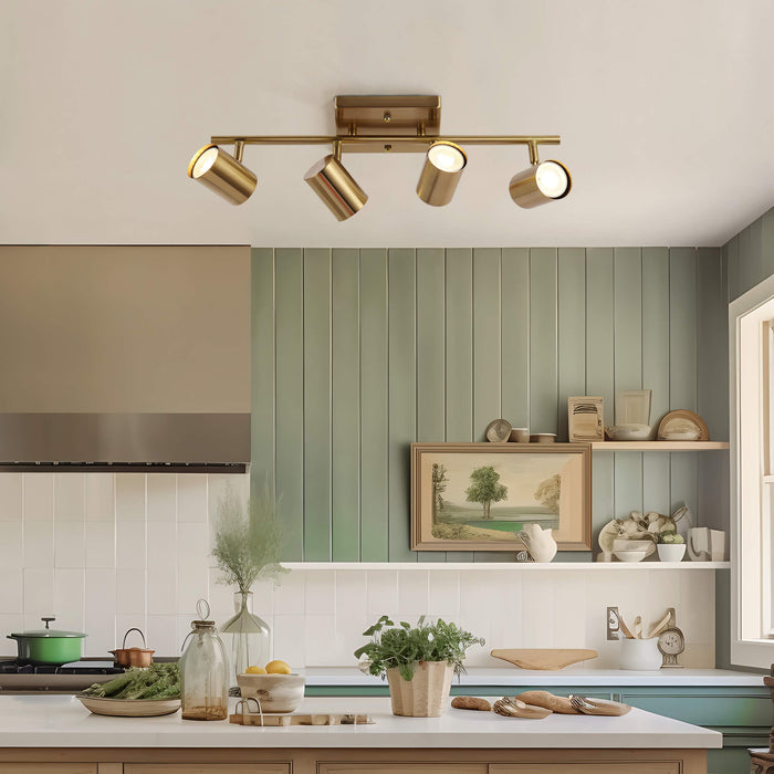 Serrul 4-Light Brass Track Light
