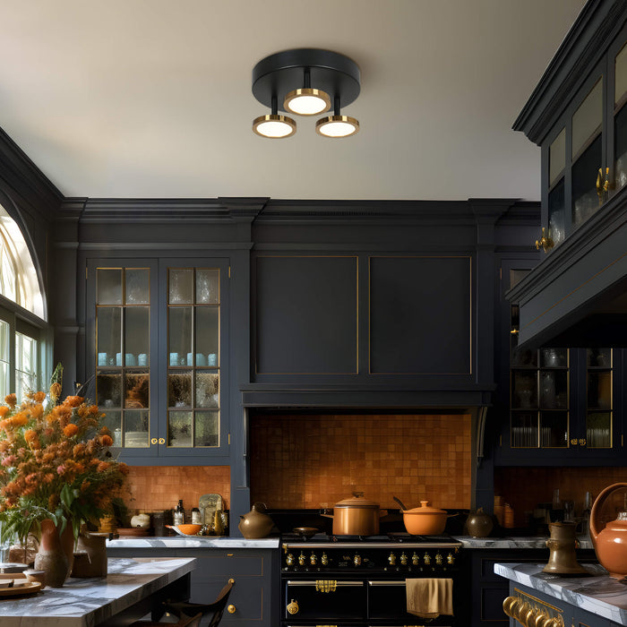 Quasira 3-Light LED Black and Brass Flush Mount Light