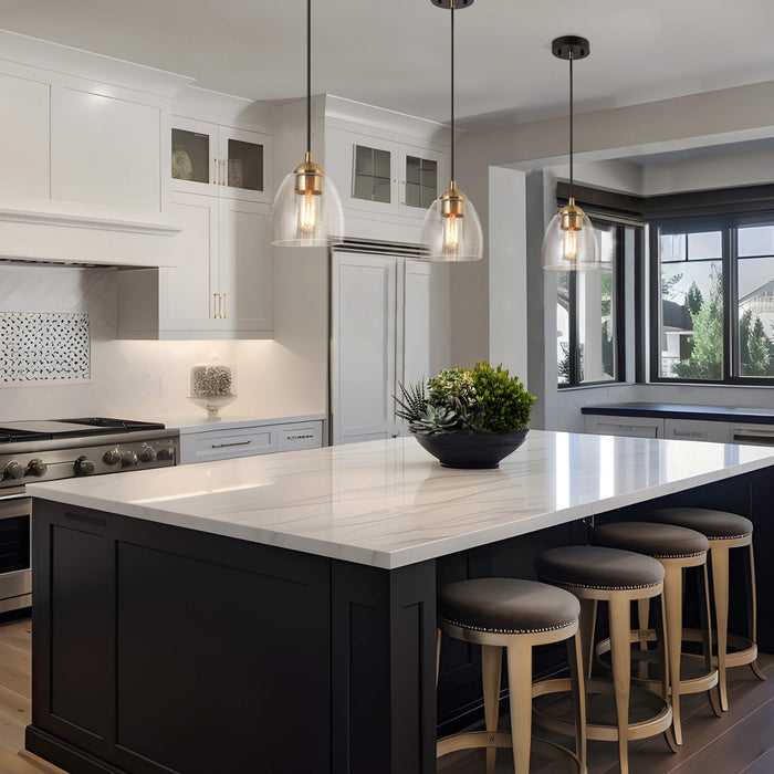 Kerwin 1-Light Black and Brass Pendant Light