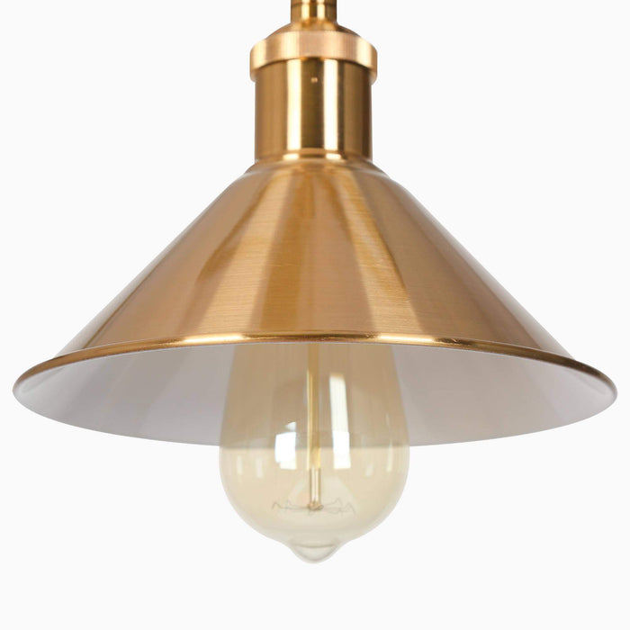 Aventia 1-Light Black and Brass Pendant Light